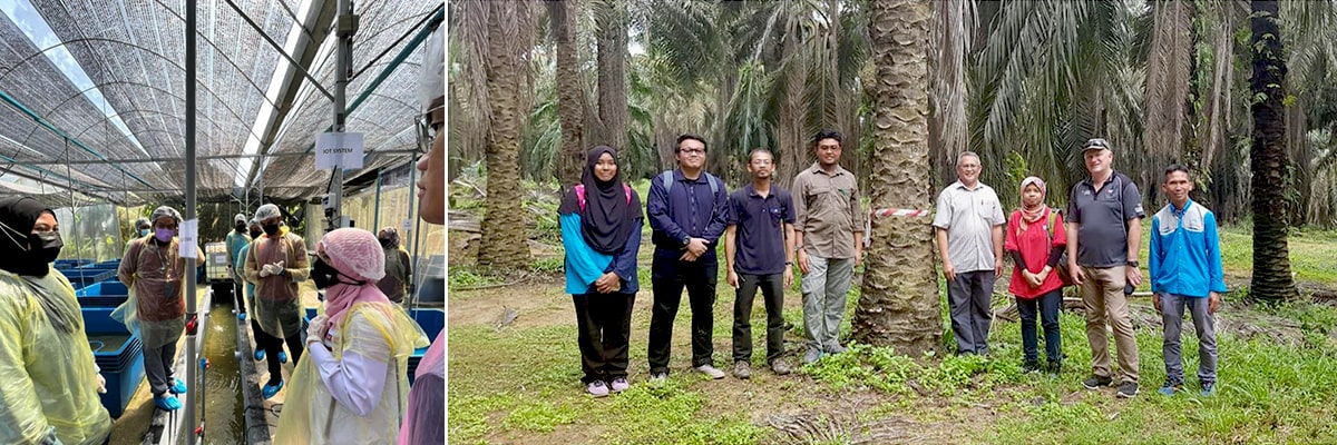 The Future of Farming with UPM's Dr. Siti Khairunniza Bejo