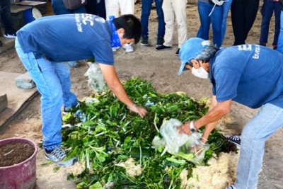 Transforming residues to revenues: Rice straw to biogas innovation energizes environment and farming communities