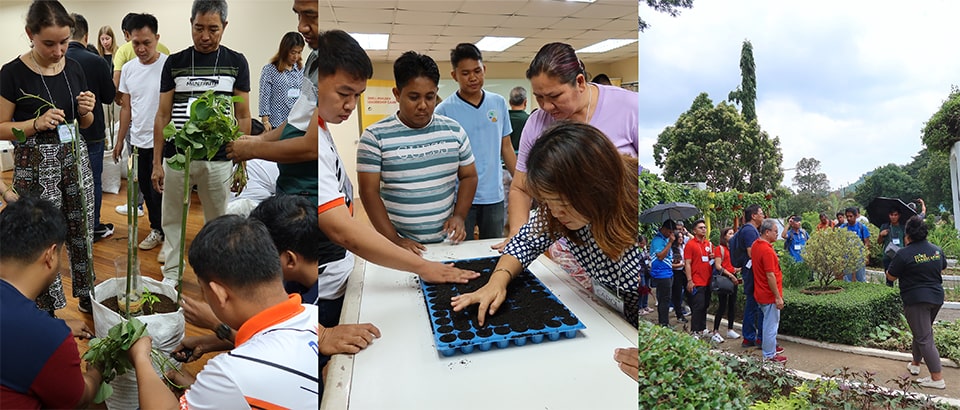 DepEd-Rizal stakeholders complete training on school edible landscaping for entrepreneurship