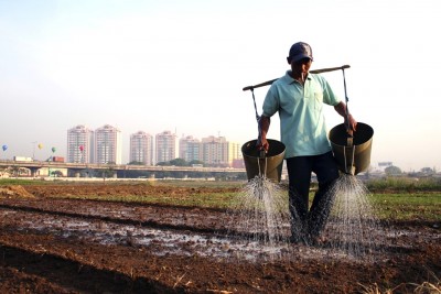 Rural Regional Transformation: Pathways, Policy Sequencing, and Development Outcomes in China, the Philippines, and Vietnam (RRT)