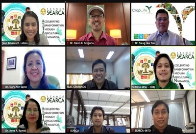 SEARCA webinar discusses strengthening seed systems in Southeast Asia